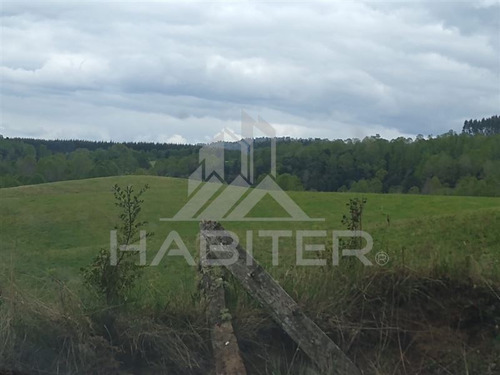 Agrícola Campo O Inmobiliario Loteo En Venta En Panguipulli