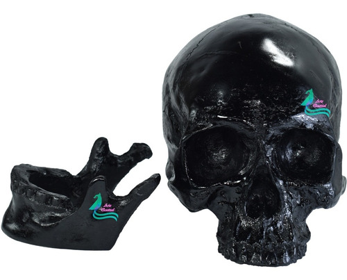 Cráneo Grande Negro, Mandíbula Articulada Esqueleto Calavera