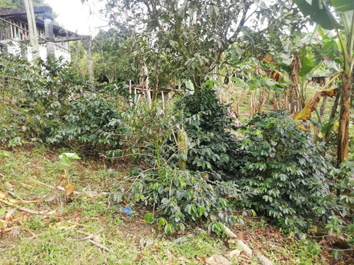 Imagen 7 de 30 de Vendo Finca En Avenida Condina Precio De Oportunidad