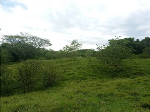 Vendo Lotes En La Pintada Con Vista A Farallones Desde 2.703 M²