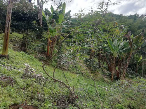Imagen 24 de 30 de Vendo Finca En Avenida Condina Precio De Oportunidad