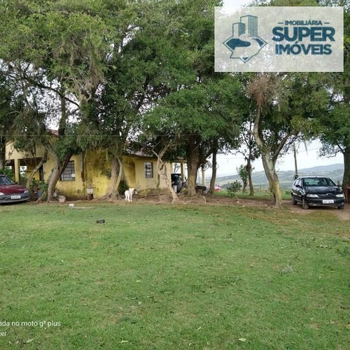 Imagem 5 de 7 de Sítio A Venda No Bairro Centro Em Morro Redondo - Rs. - 2088-1