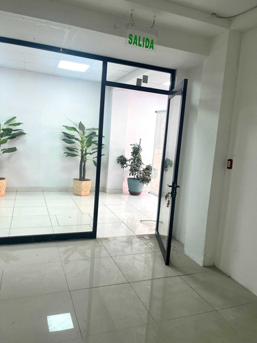 Propiedad Comercial En Arriendo, Curicó (91076)