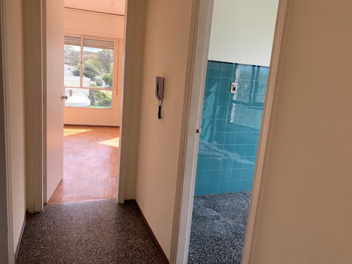 Alquiler Apto Un Dormitorio Orientación Norte, En Punta Gorda A Dos Cuadras Del Mar