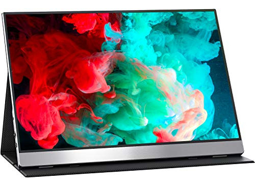 Monitor Portátil Fhd Usb-c Hdmi Ps4/5 Xbox Switch De 15.6 Pu