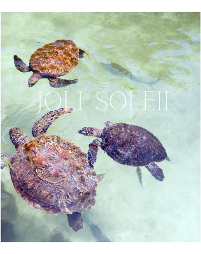 Libro: Joli Soleil: A Decorative Book Ideal For Stacking On 