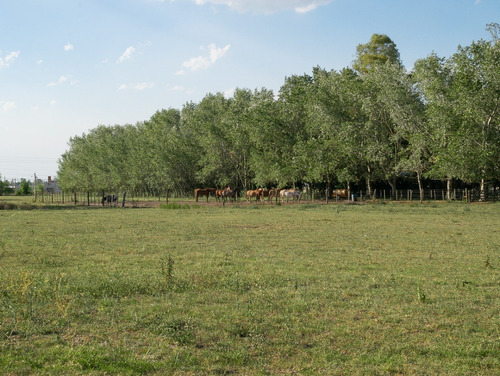 Imagen 4 de 10 de La Eugenia!! Lotes De 600 Mts².