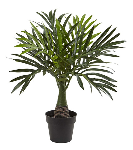 15.5in. Mini Planta Artificial Areca Palm, Verde