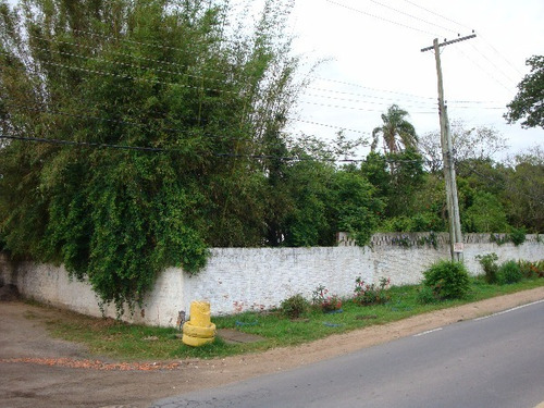 Terreno Em Belém Novo - Mi15725