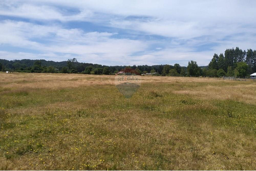 Tu Refugio Natural En Valdivia 26000 M² De Ensueño