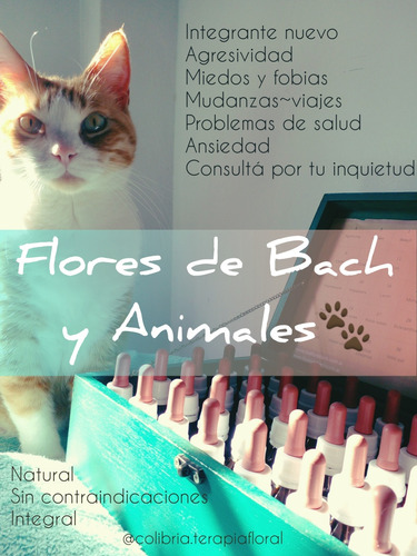 Terapia Floral Bach