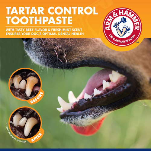 Creme Dental Arm & Hammer Para Animais De Estimação Controle