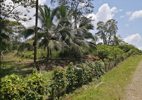 Imagen 6 de 9 de Finca Hermosa