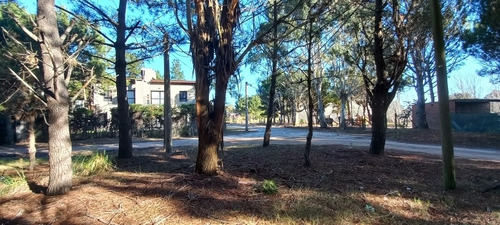 Imagen 6 de 7 de Venta. Lote En Paseo Del Bosque Von Todos Los Servicios