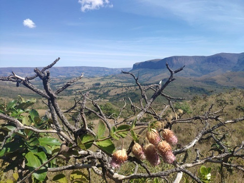 Imagem 1 de 15 de Área Rural Serra Da Canastra