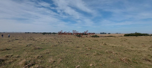 Imagen 5 de 23 de Venta De Chacra 19 Has En San Carlos, Maldonado