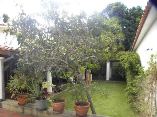 Imagen 5 de 30 de Casa Venta Los Palos Grandes Luz Marina Cardona.rah