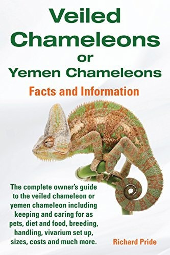 Camaleones Velados O Camaleones De Yemen Guia Completa Para 