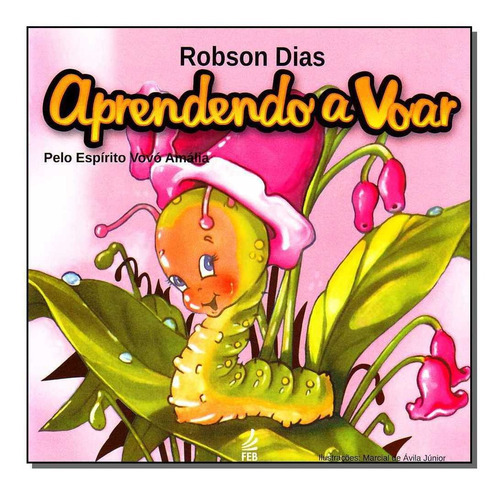 Aprendendo A Voar: Aprendendo A Voar, De Robson Dias., Vol. Não Aplica. Editora Feb, Capa Mole Em Português