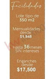 Imagen 4 de 21 de Terreno Preventa Campestre En Yucatàn, Venta Terreno En Dzidzantun, Terreno Venta Yucatàn, Inve...