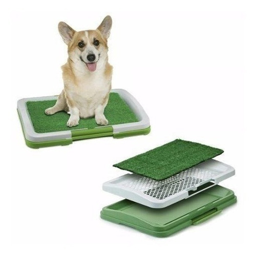 Tapete Entrenador Mascotas Lavable Baño Caninos