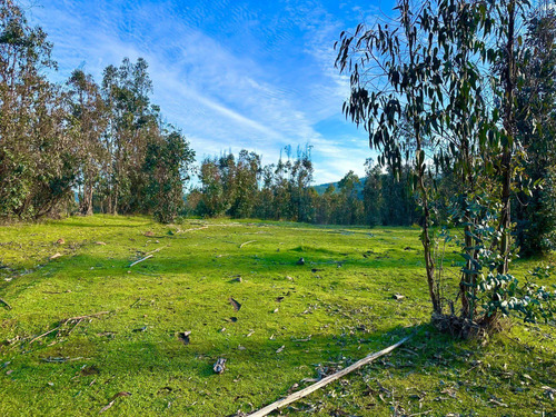 Parcelas A Minutos De Playa Llico (107204)