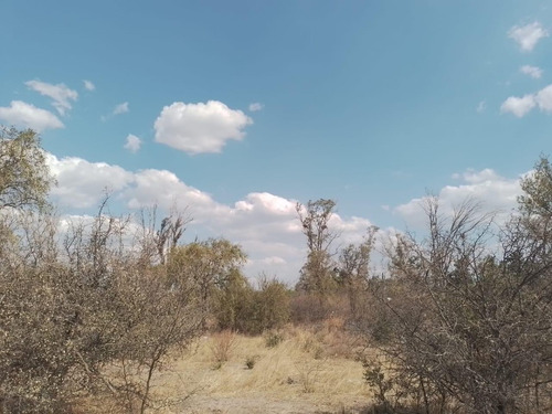 Venta Campo Villa Quilino - Cordoba -