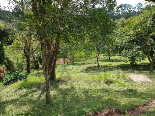 Imagem 15 de 30 de Sítio De 3,5 Alqueires, Excelente Localização! Com Área Aberta Para Criação Recreativa E Mata Nativa Para Trilha E Caminhada.. - 237 - 69821549