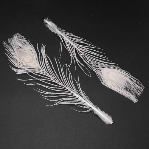 50 Unidades De Plumas De Pavo Real Blancas Naturales En El O