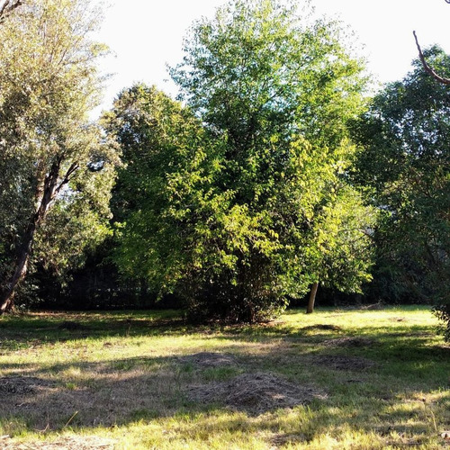 Imagen 3 de 4 de Terreno - Barrio Parque Leloir