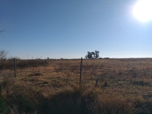 Imagen 5 de 13 de Vendo 90 Hectareas Ganaderas En Ucles, Cba