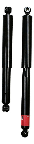 Zf Trw Kit Trasero 2 Amortiguadores Jgt6034s