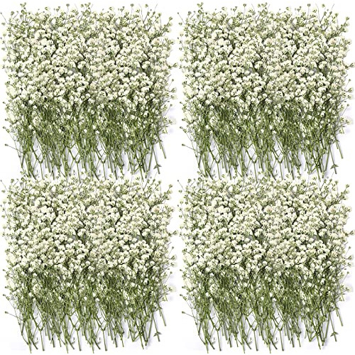 200 Piezas De Flores De Gypsophila Secas Granel De Colo...