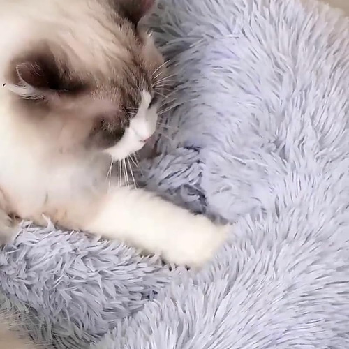 Nido De Gato Cama Antiestrés Super Cómodo Cojín Peluche 60cm
