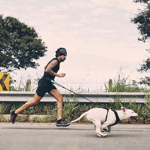 Cinturón para correr Zee.run P, diseño de tela lisa Zee.dog, 55 x 80, color negro