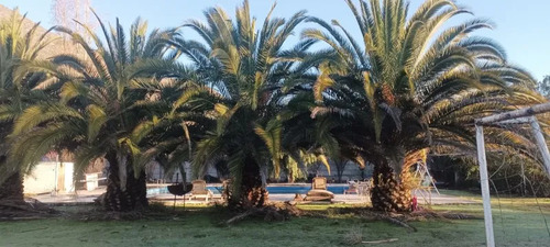 Parcela En Venta | 5.000 M² | 3 Piscinas | Amplios Espacios