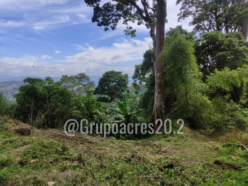 Imagen 5 de 10 de Se Vende Terreno Comercial A Orilla De Calle En San Diego De Los Altos, Edo. Miranda. Rz