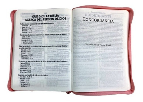 Biblia Reina Valera 1960 Letra Gigante Cierre Pjr Conc. Rosa