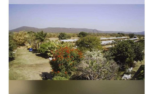 Venta De Increíble Rancho Al Mejor Precio En Tetecala, Morelos,ideal Para Inversionistas Y Ganad...