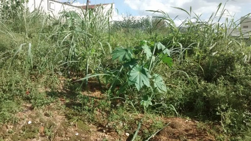 Lote Para Comprar No Jardim Riacho Das Pedras Em Contagem/mg - 5788