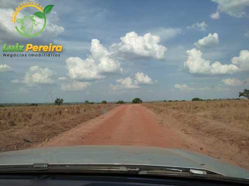 Imagem 5 de 12 de Fazenda À Venda Em Abreulândia - Pa - 1.427,8 Hectare (dupla Aptidão) - 2038