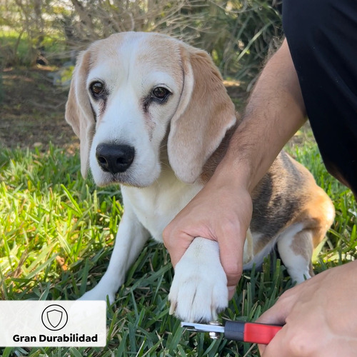 Cortador De Uñas Con Lima Para Perros O Gatos