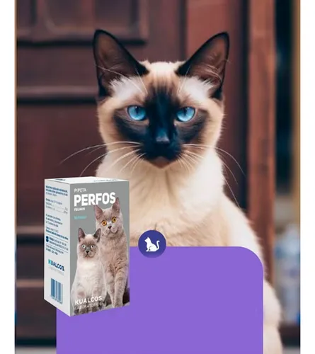 Pipeta Multidosis Perfos Gatos Pulguicida Kualcos