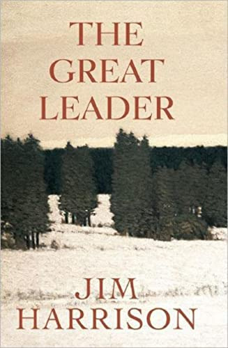 Libro The Great Leader De Harrison, Jim