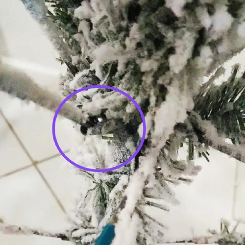 Árvore De Natal Nevada 1482g Bem Cheia Modelo Alpes | Parcelamento sem juros Árvore De Natal Nevada 1482g Bem Cheia Modelo Alpes | Parcelamento sem juros