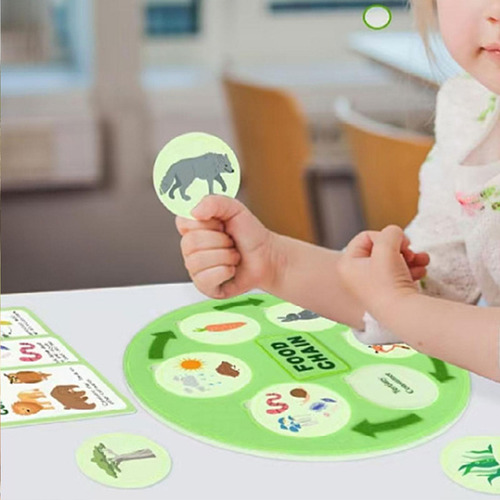 Ciclo De Vida Da Cadeia Alimentar Kit Party Favors Science
