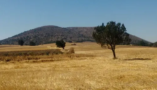 Terreno En Venta  San Antonio Montecillo Tlaxcala, Calpulalpan Sup.  126.57 Has