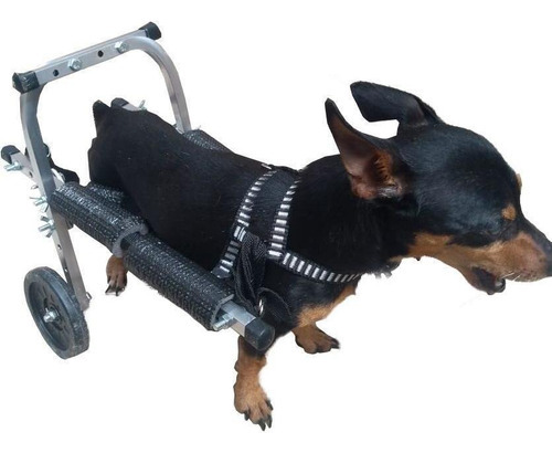 Mini Cadeira De Rodas Para Cachorro Gato Pequeno Porte 4 Kg