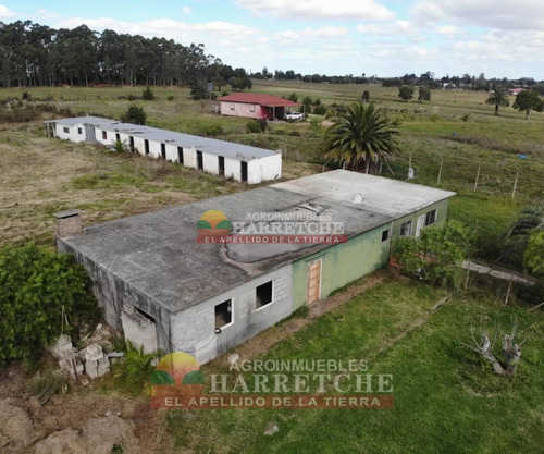 Chacra 4 Has Cno Calpino En Montevideo Rural