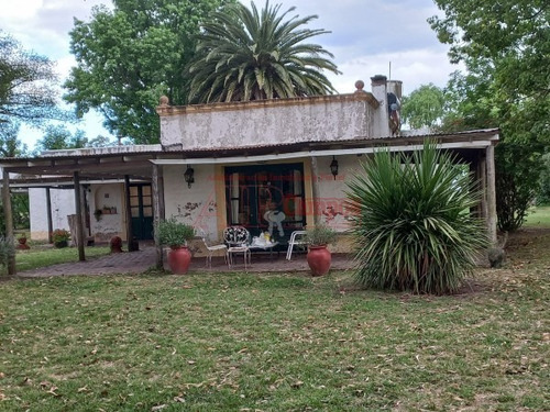 Imagen 29 de 30 de Venta De Campo De 21 Has Entre Jeppener Y Ranchos
